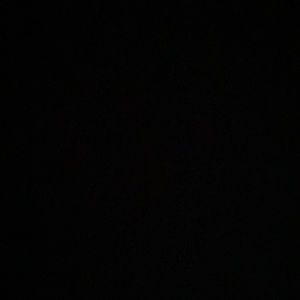 Meet your Posher, Bella bella